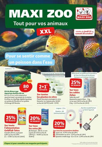 Du 11 au 29 octobre