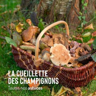 Du 11 au 21 octobre