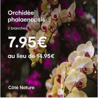 Du 02 au 26 novembre