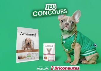 Du 13 au 26 novembre