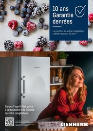 Du 12 novembre au 31 décembre