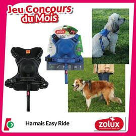 Du 22 mai au 15 juin