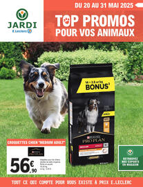 Du 20 au 31 mai