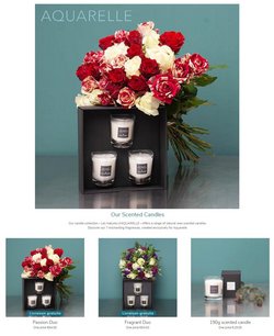 Candles