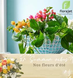 Nos Fleurs d'été !