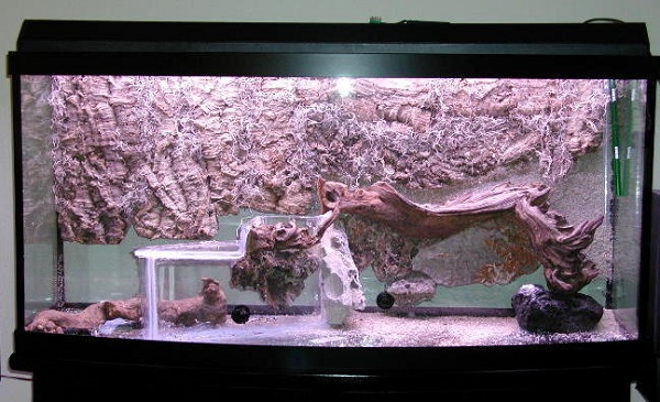 Zone aquatique Zone aquatique