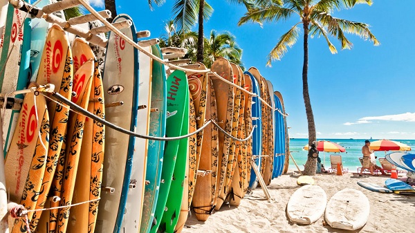 Hawaii Surf Hawaii Surf