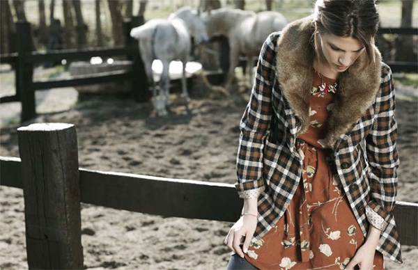 Indi & Cold Indi & Cold