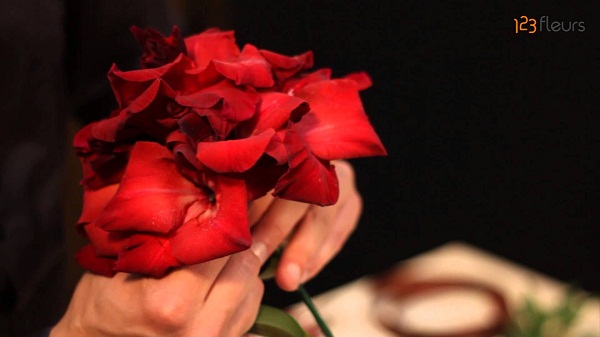 123 fleurs 123 fleurs