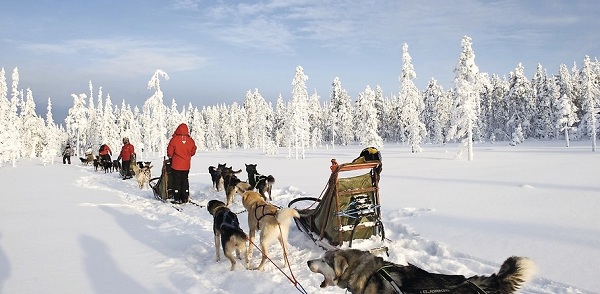 Carrefour Voyages Carrefour Voyages