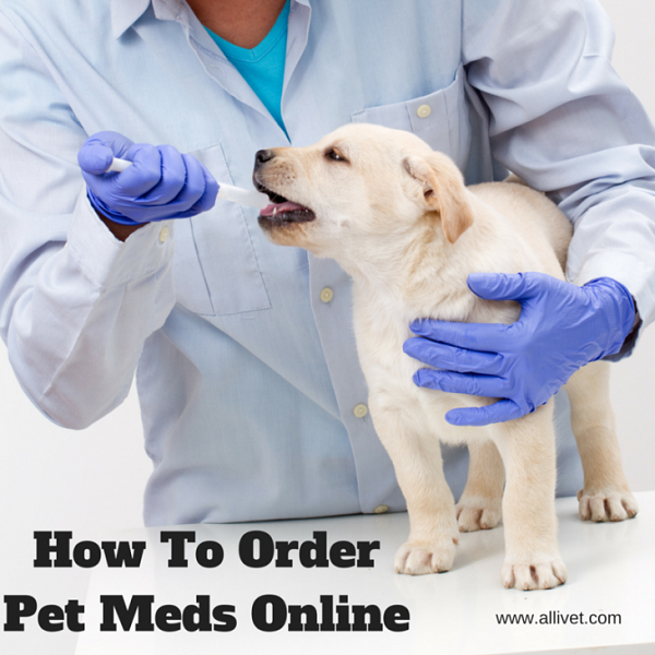 Petmeds