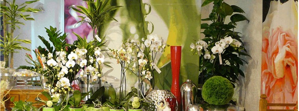 L’agitateur Floral