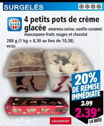 Riva 4 petits pots de crème glacée 