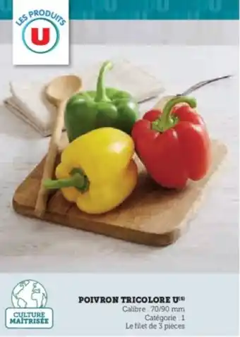 Poivron tricolore u 
