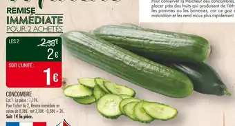 Concombre 