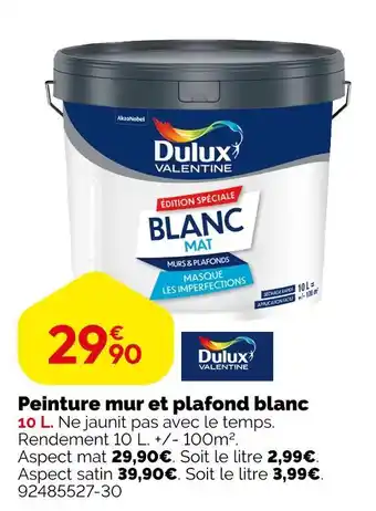 Dulux valentine peinture mur et plafond blanc 