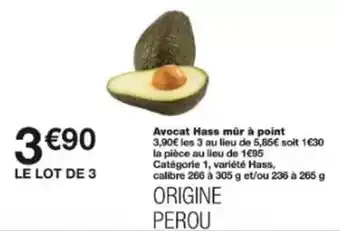 Avocat hass mûr à point